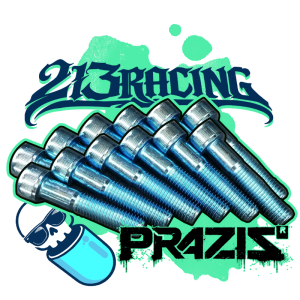 PRAZIS® E36 E46 LSD DIFF...